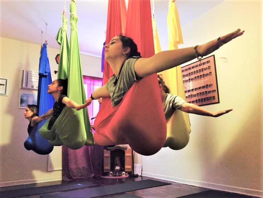 aerial yoga curso formacao professores sarah clothworthy aerial yoga brasil (10)